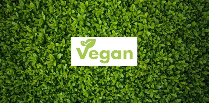 media/image/schlafshop-veganSKqghF7xGdOiv.jpg