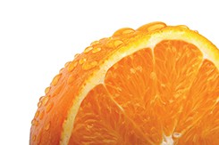 media/image/1416934980561e5cc8bab59.jpg