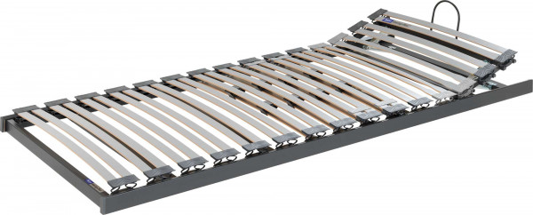 BICO Lattenrost Swing-flex A
