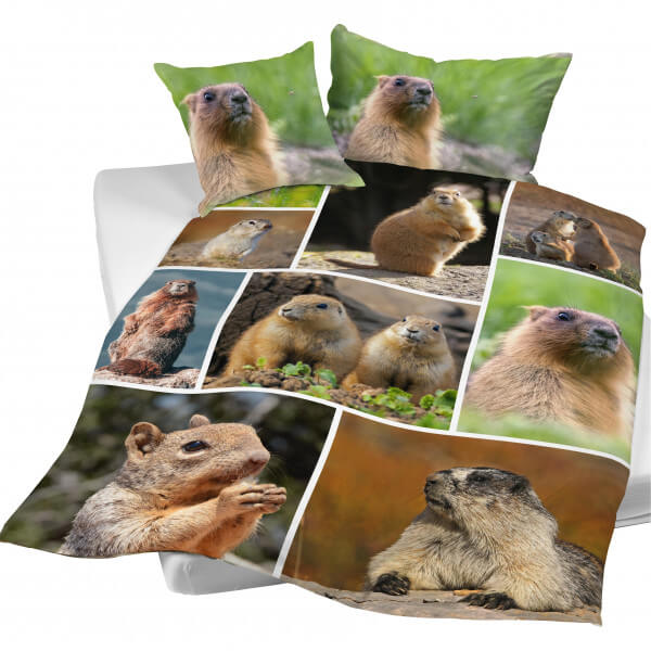Bettwäsche Marmotte «Murmeli»